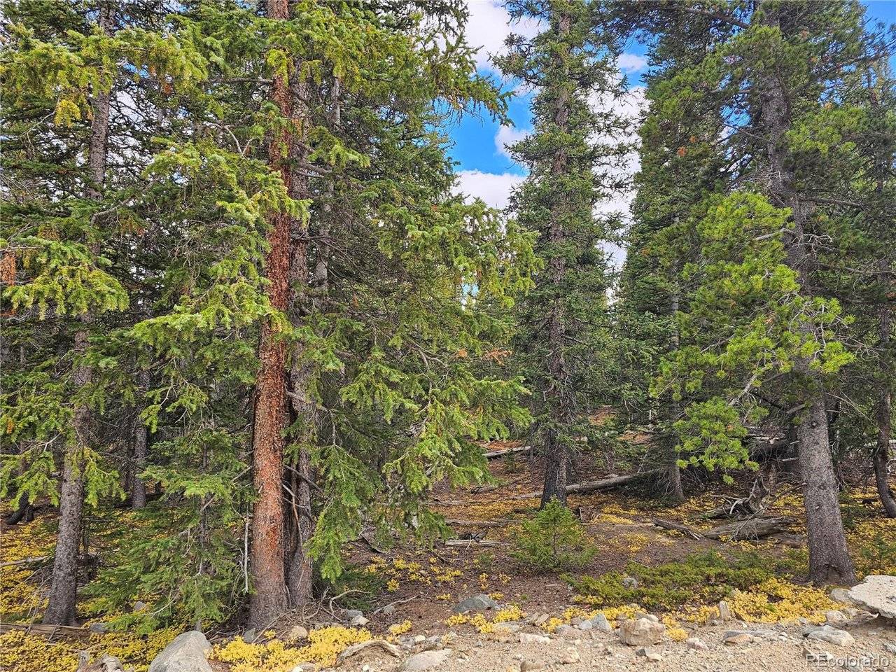 617 Gold Trail, Fairplay, CO 80440