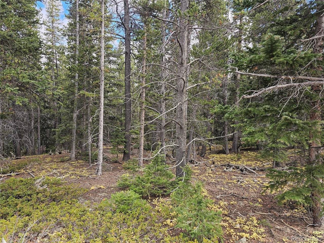 617 Gold Trail, Fairplay, CO 80440