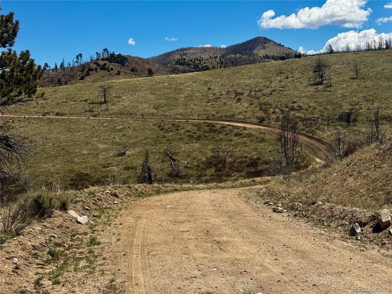 7712 Hallstein, Fort Garland, CO 81133