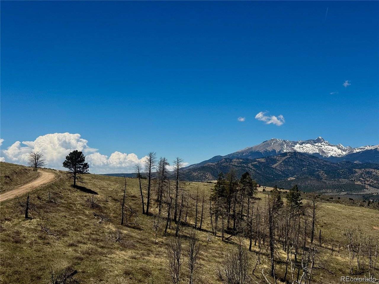 7712 Hallstein, Fort Garland, CO 81133