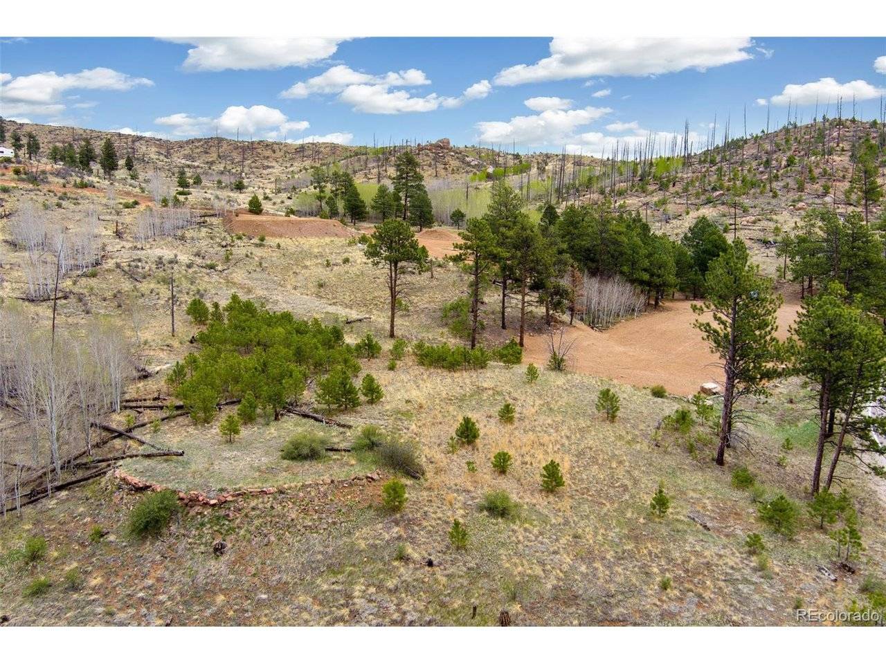 13990 S State Highway 67, Woodland Park, CO 80863