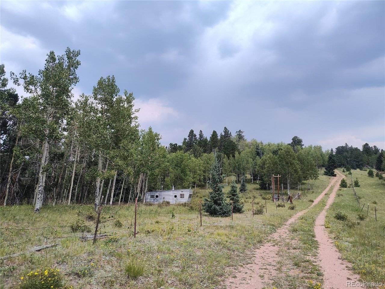 3154 CR 863, Victor, CO 80860