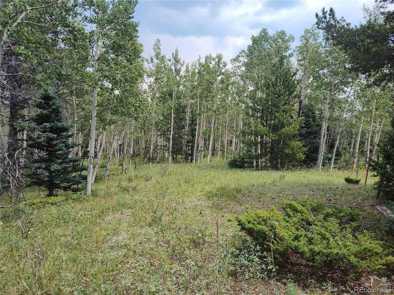 3154 CR 863, Victor, CO 80860