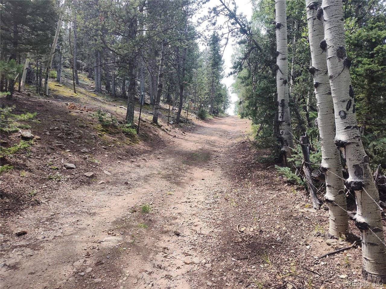 3154 CR 863, Victor, CO 80860