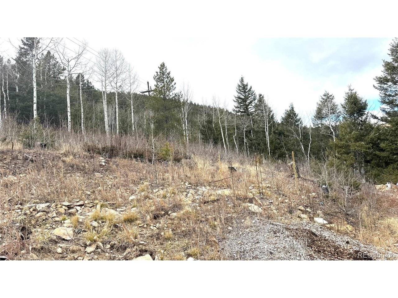 1 Hooper, Central City, CO 80427