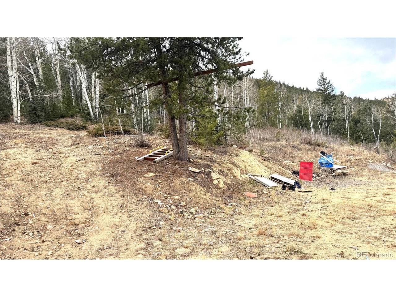 1 Hooper, Central City, CO 80427