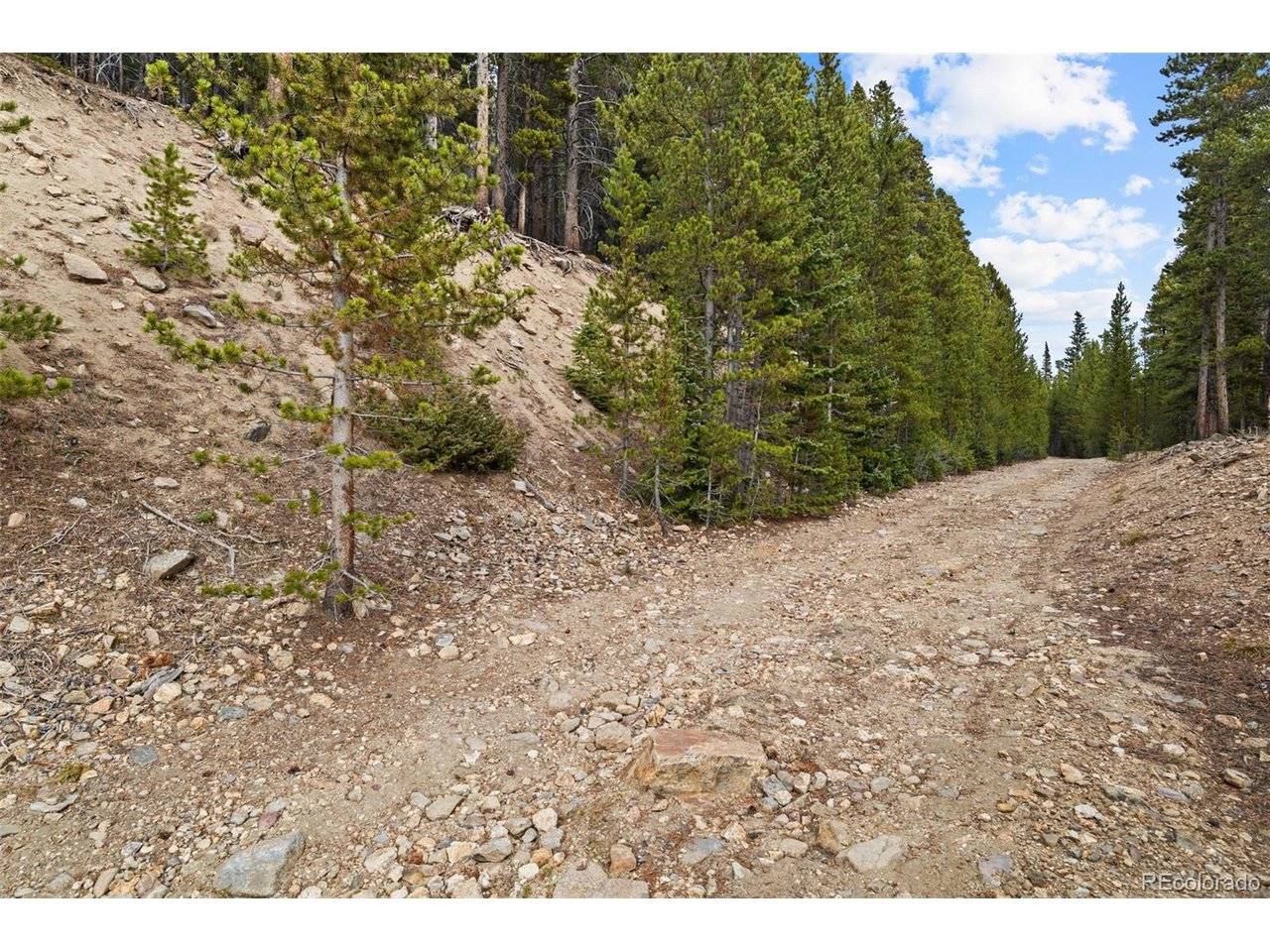 773 Harris, Idaho Springs, CO 80452