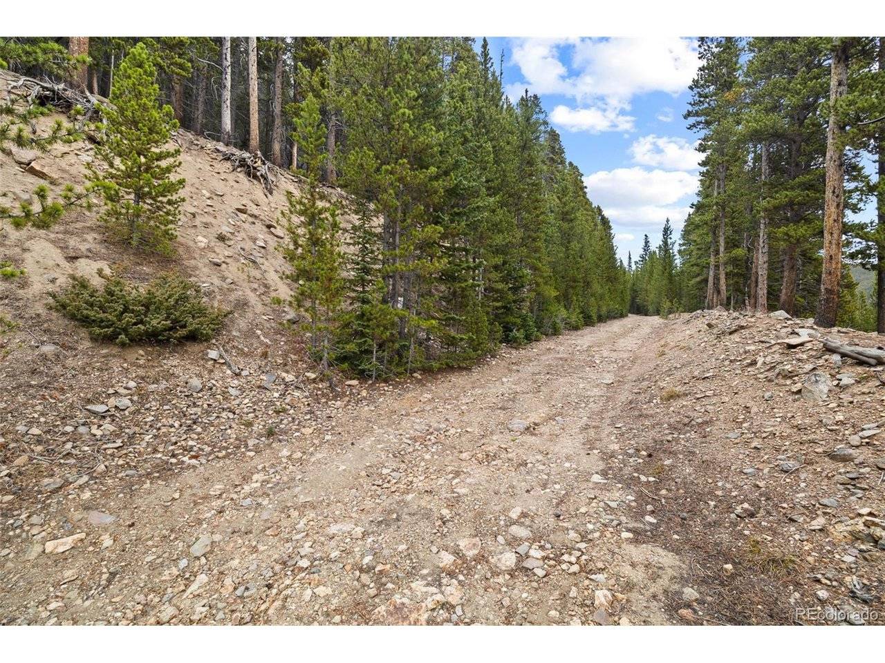 773 Harris, Idaho Springs, CO 80452