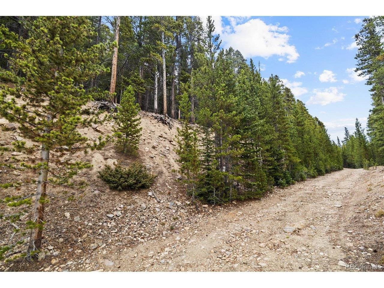 773 Harris, Idaho Springs, CO 80452