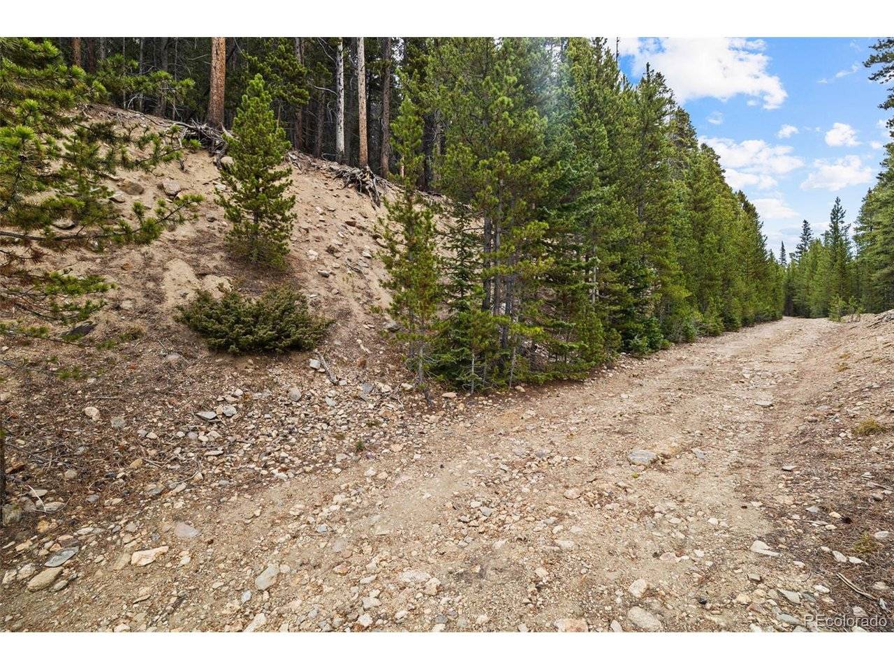 773 Harris, Idaho Springs, CO 80452