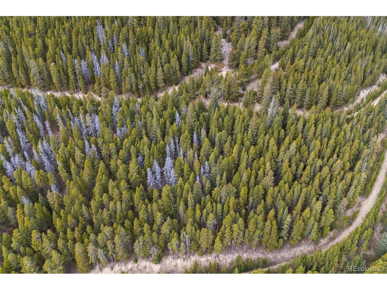 773 Harris, Idaho Springs, CO 80452