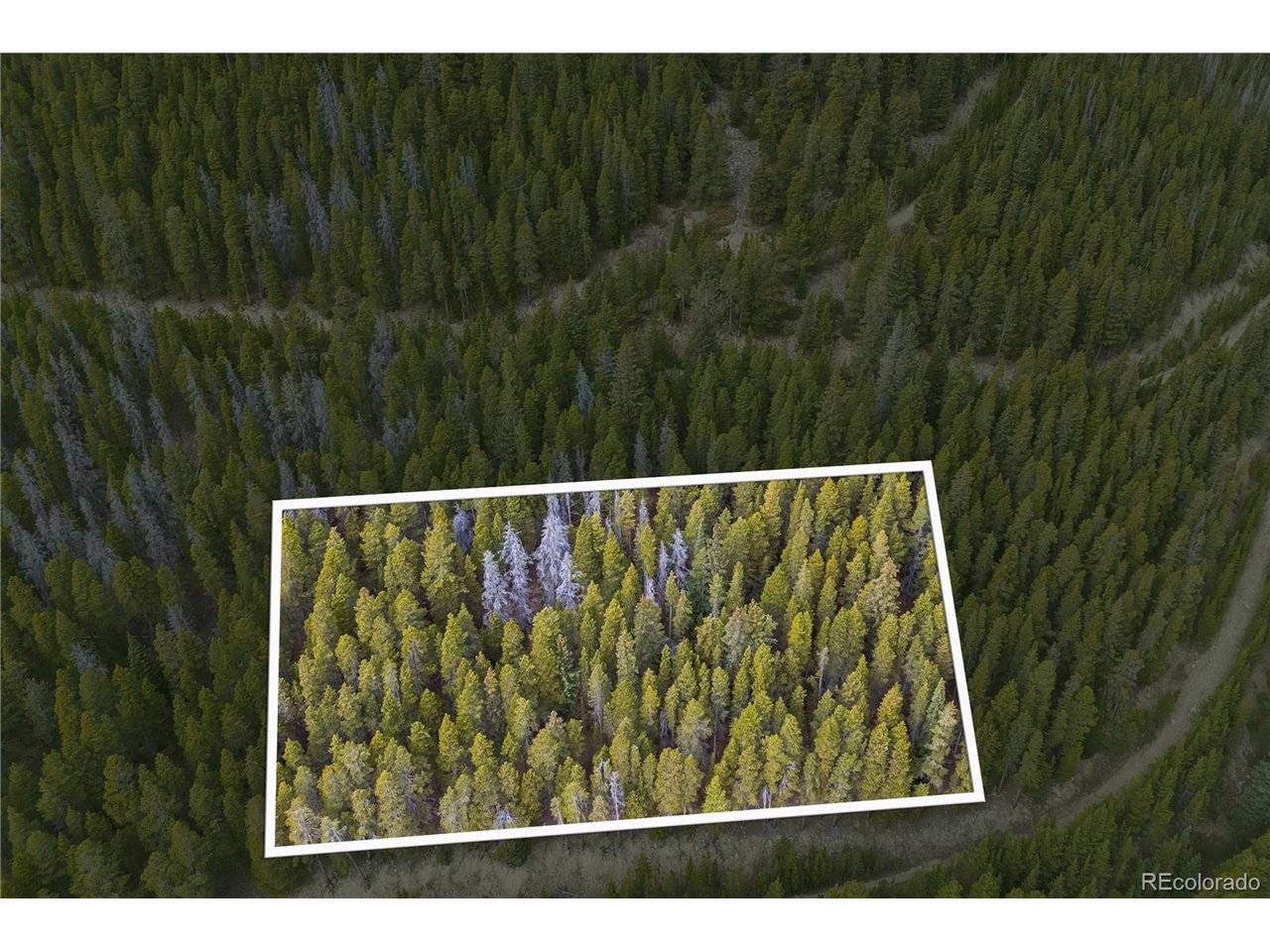 773 Harris, Idaho Springs, CO 80452