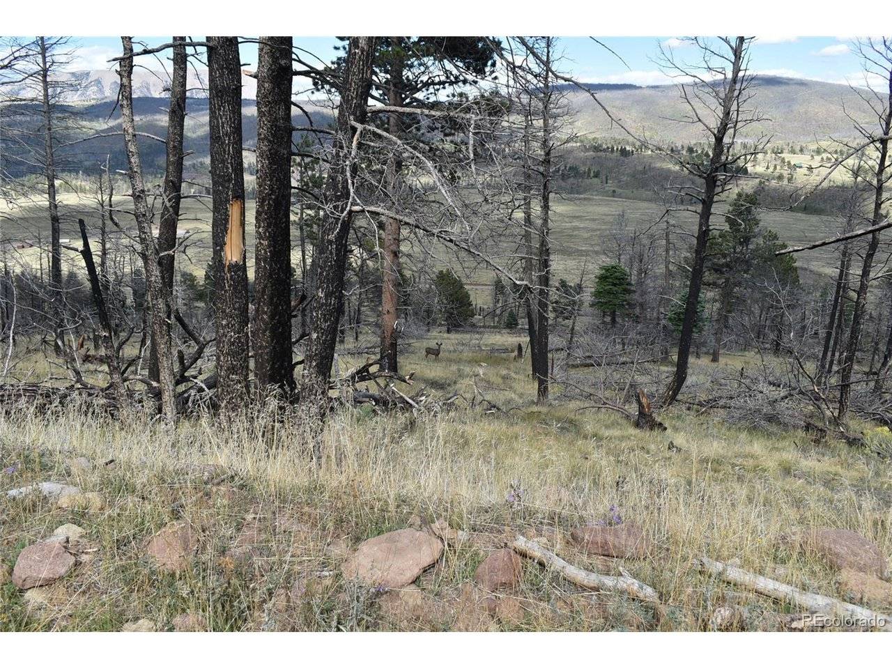 Soubry Pl, Fort Garland, CO 81133