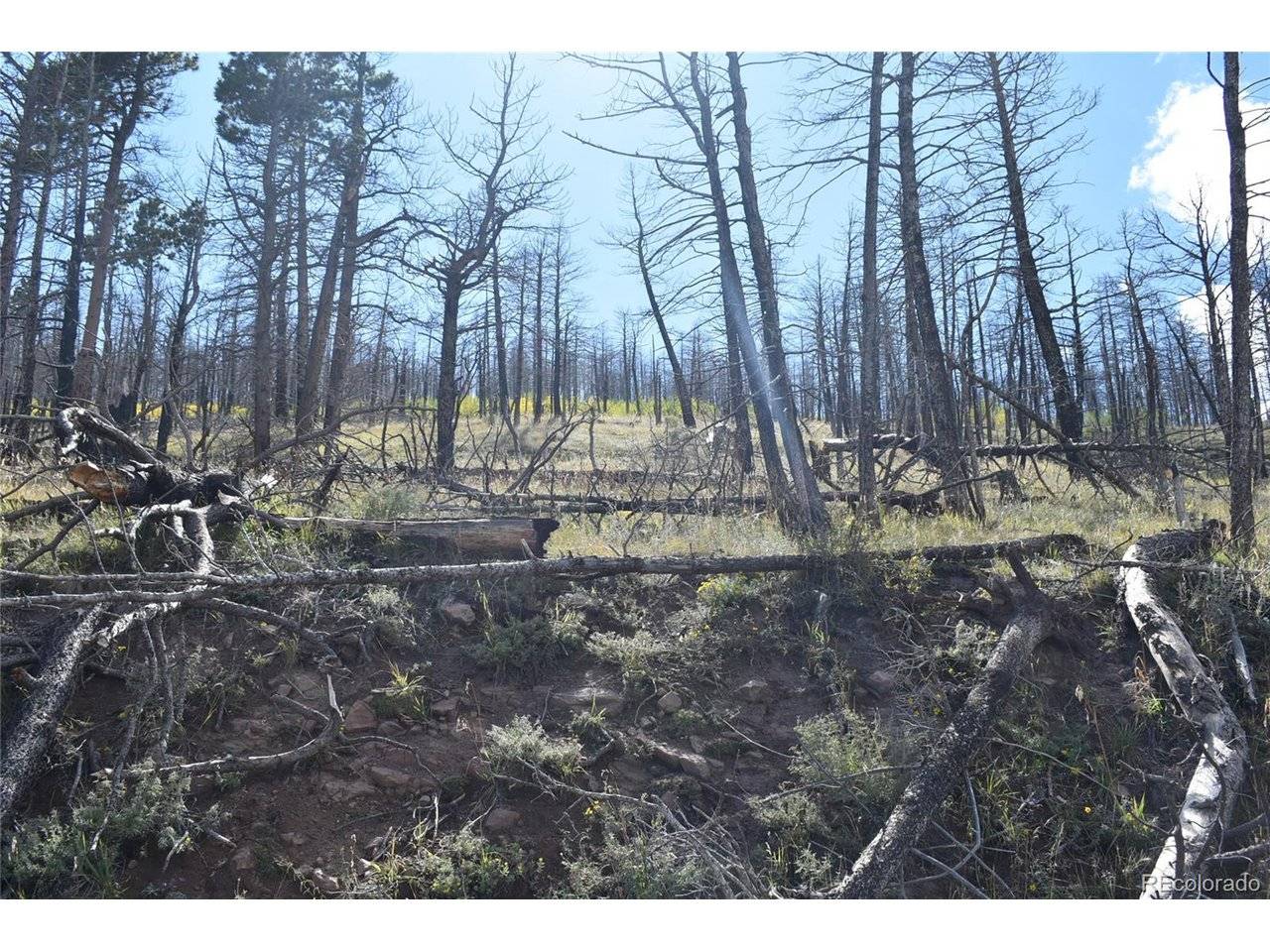 Soubry Pl, Fort Garland, CO 81133