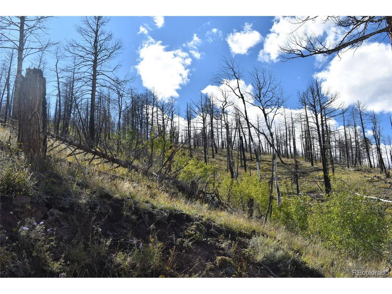 Soubry Pl, Fort Garland, CO 81133