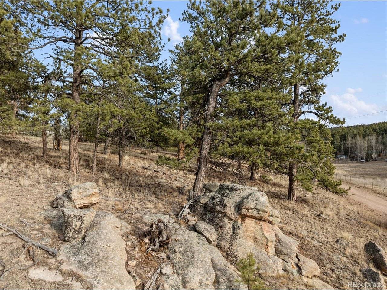 263 Valley, Lake George, CO 80827