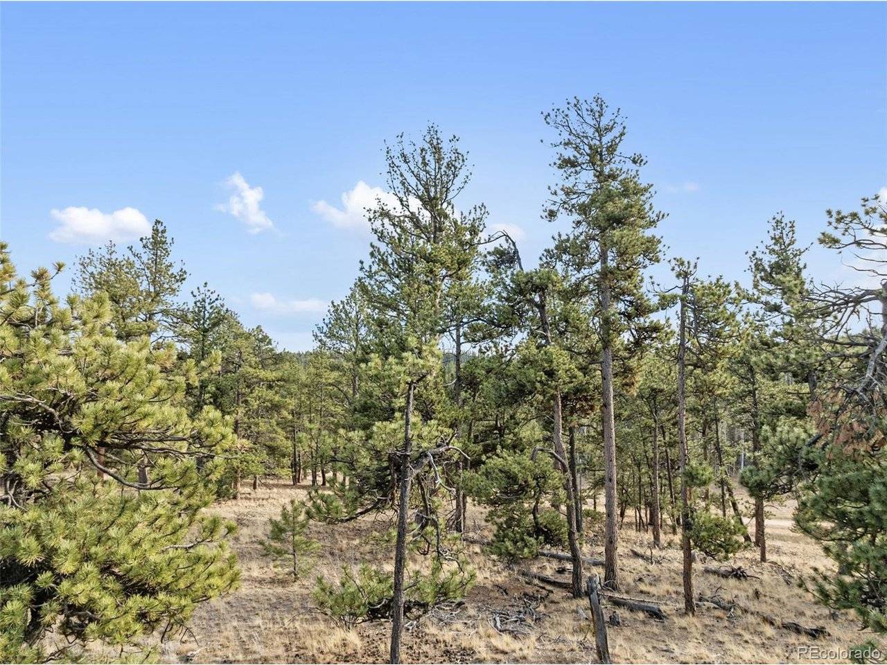 263 Valley, Lake George, CO 80827