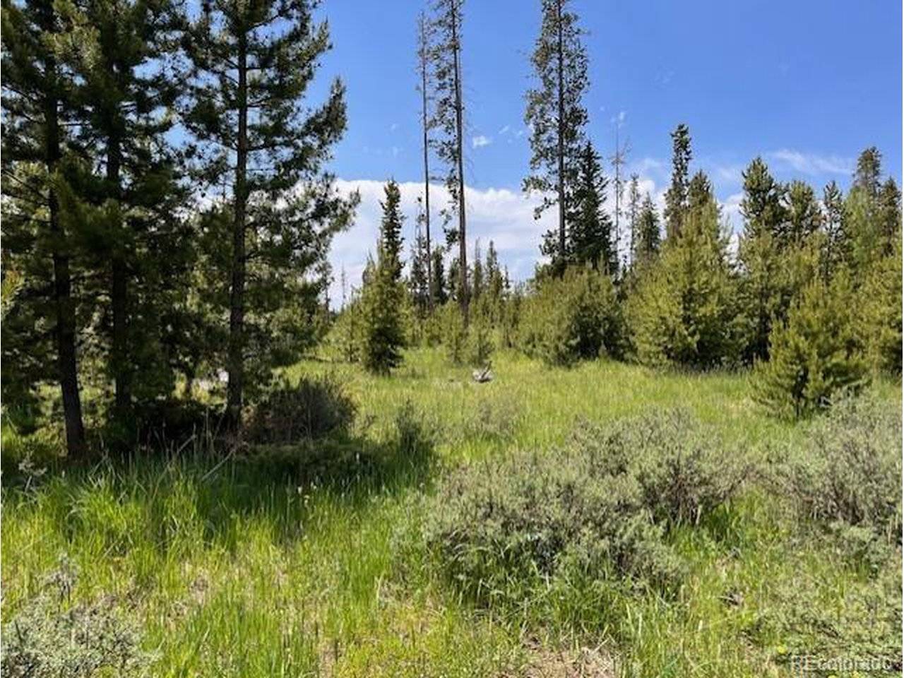 1680 N Cr-491, Grand Lake, CO 80447
