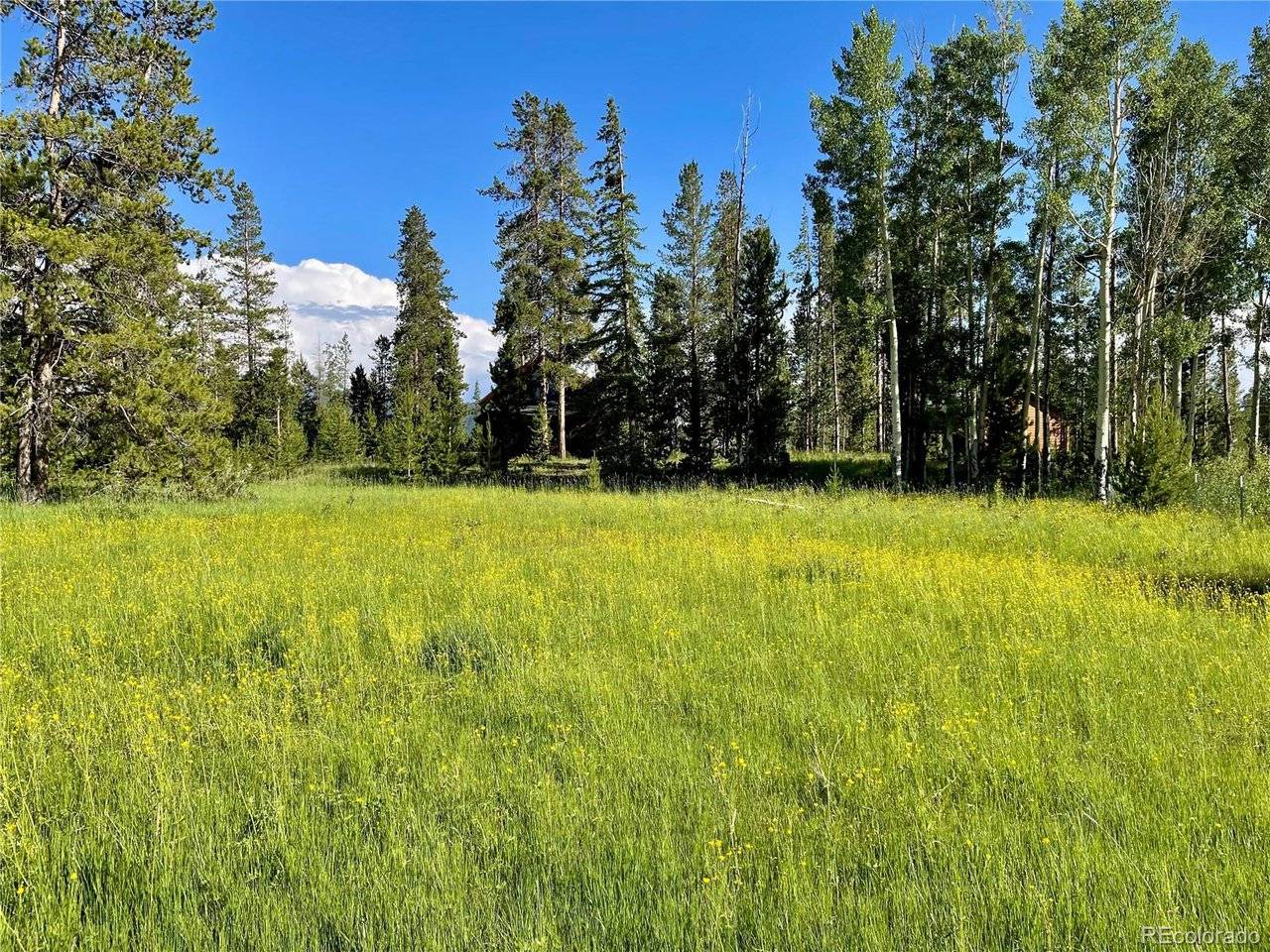 1680 N Cr-491, Grand Lake, CO 80447