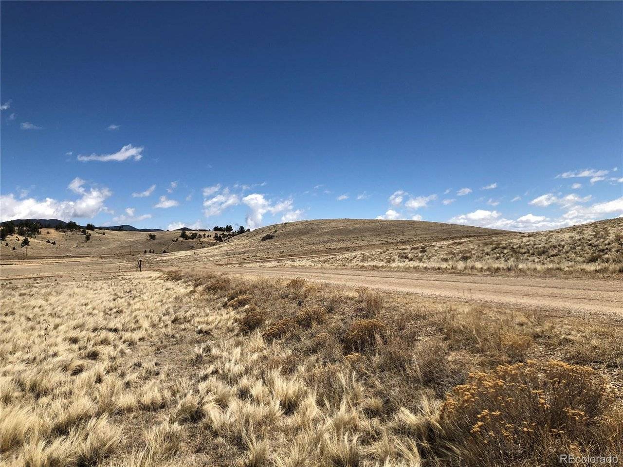 121 Commanche, Hartsel, CO 80449