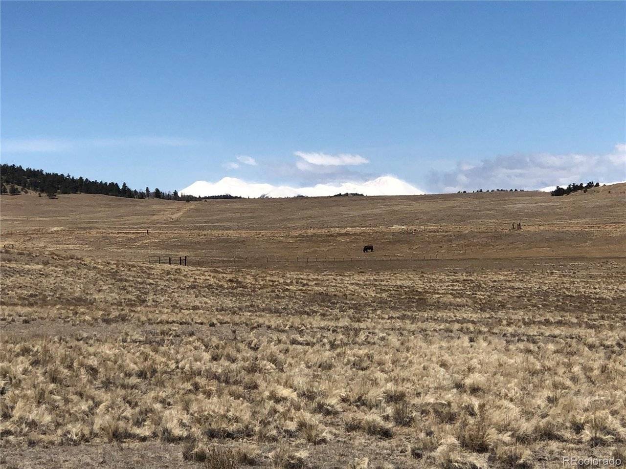 121 Commanche, Hartsel, CO 80449