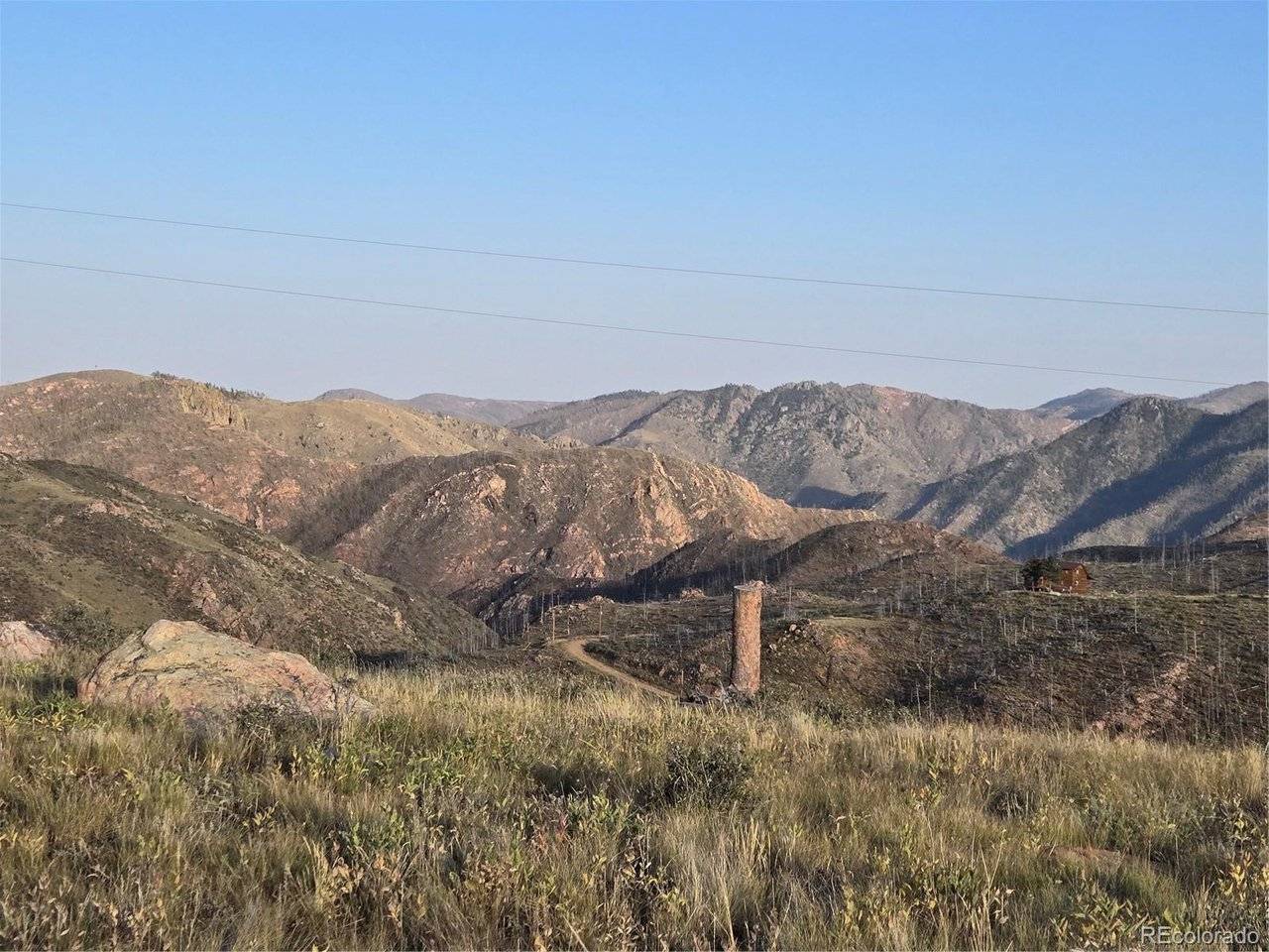 443 Meadow Mountain, Livermore, CO 80536