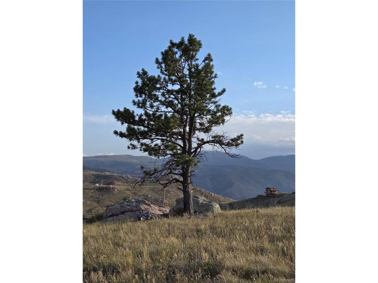443 Meadow Mountain, Livermore, CO 80536