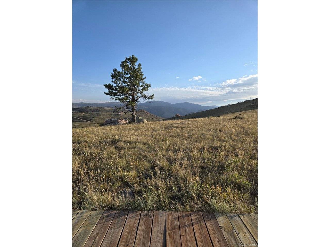 443 Meadow Mountain, Livermore, CO 80536