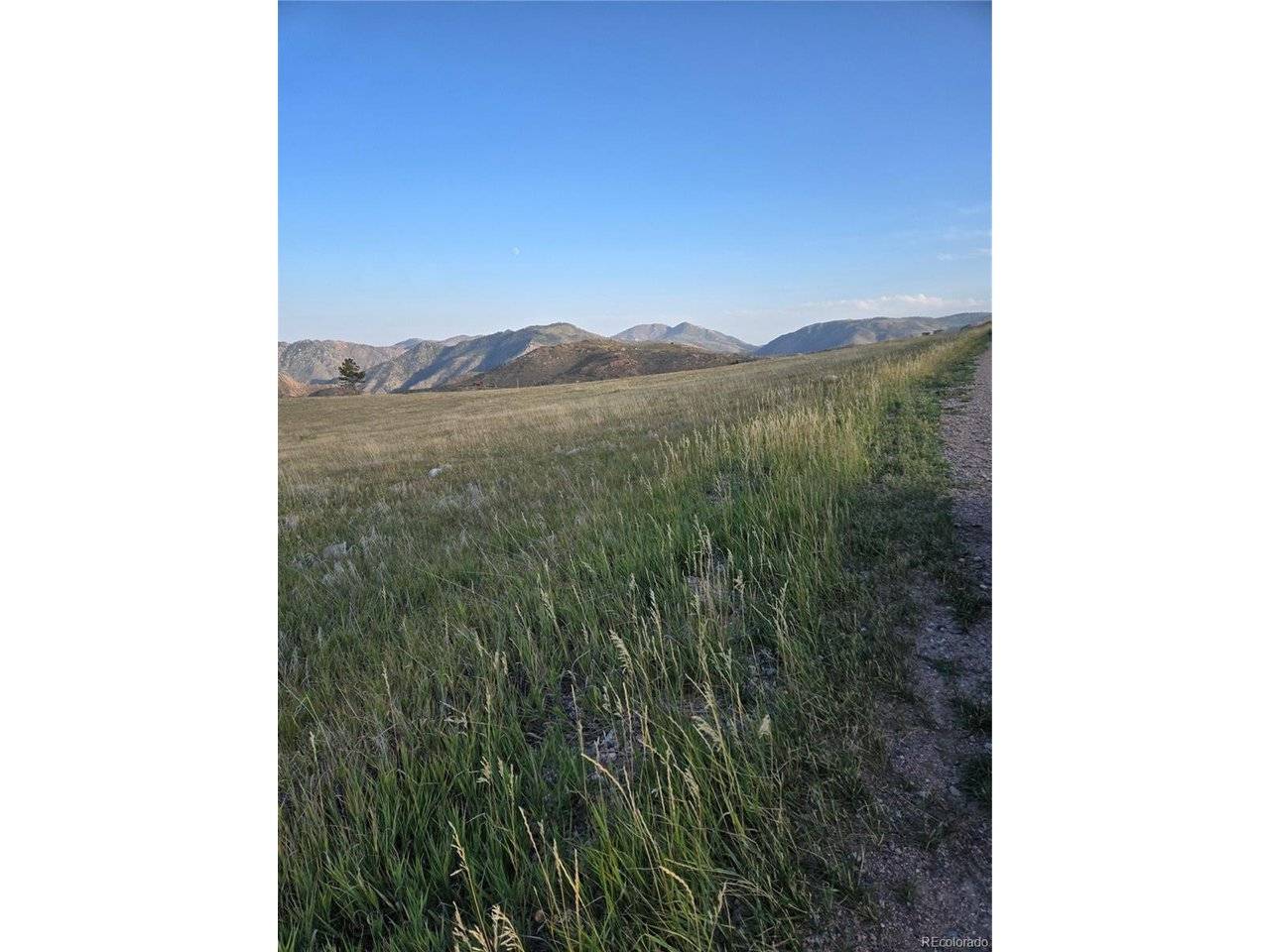 443 Meadow Mountain, Livermore, CO 80536