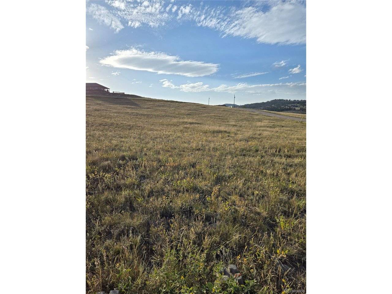 443 Meadow Mountain, Livermore, CO 80536