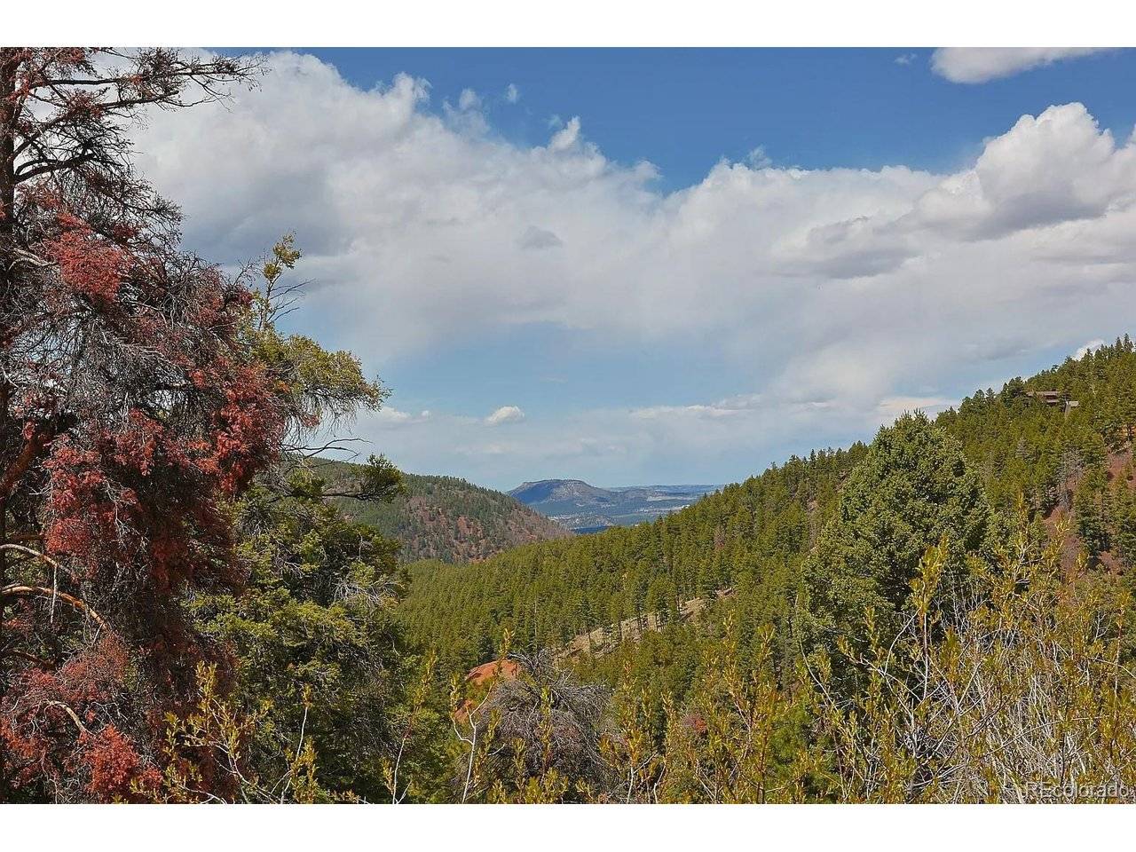 13499 S Firedog, Larkspur, CO 80118
