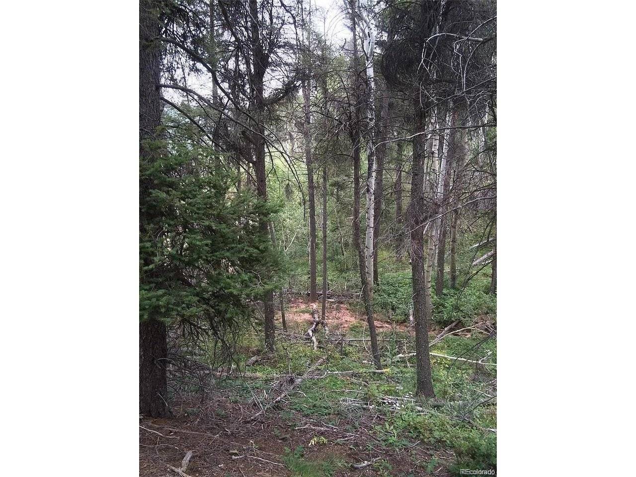 13499 S Firedog, Larkspur, CO 80118