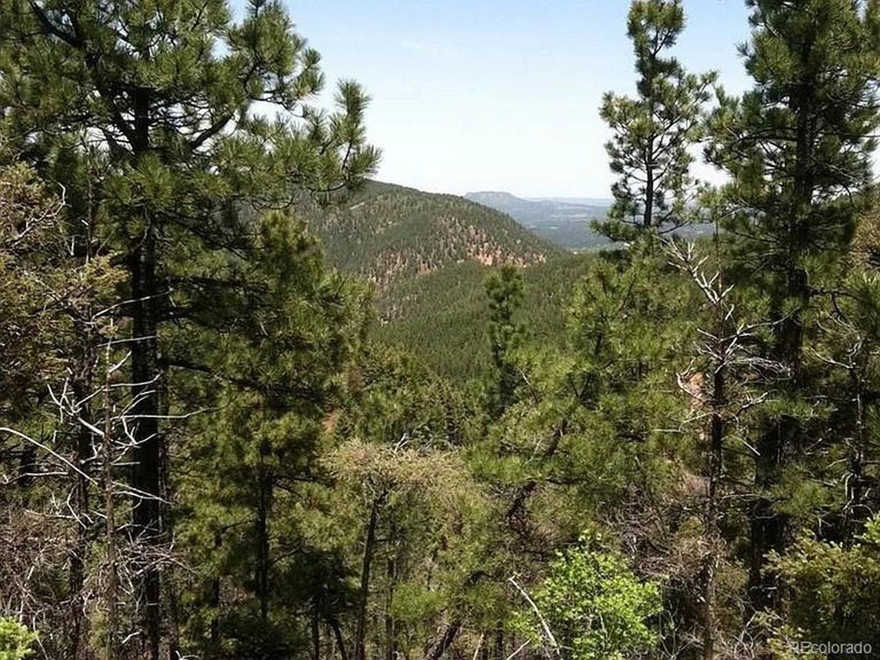 13499 S Firedog, Larkspur, CO 80118