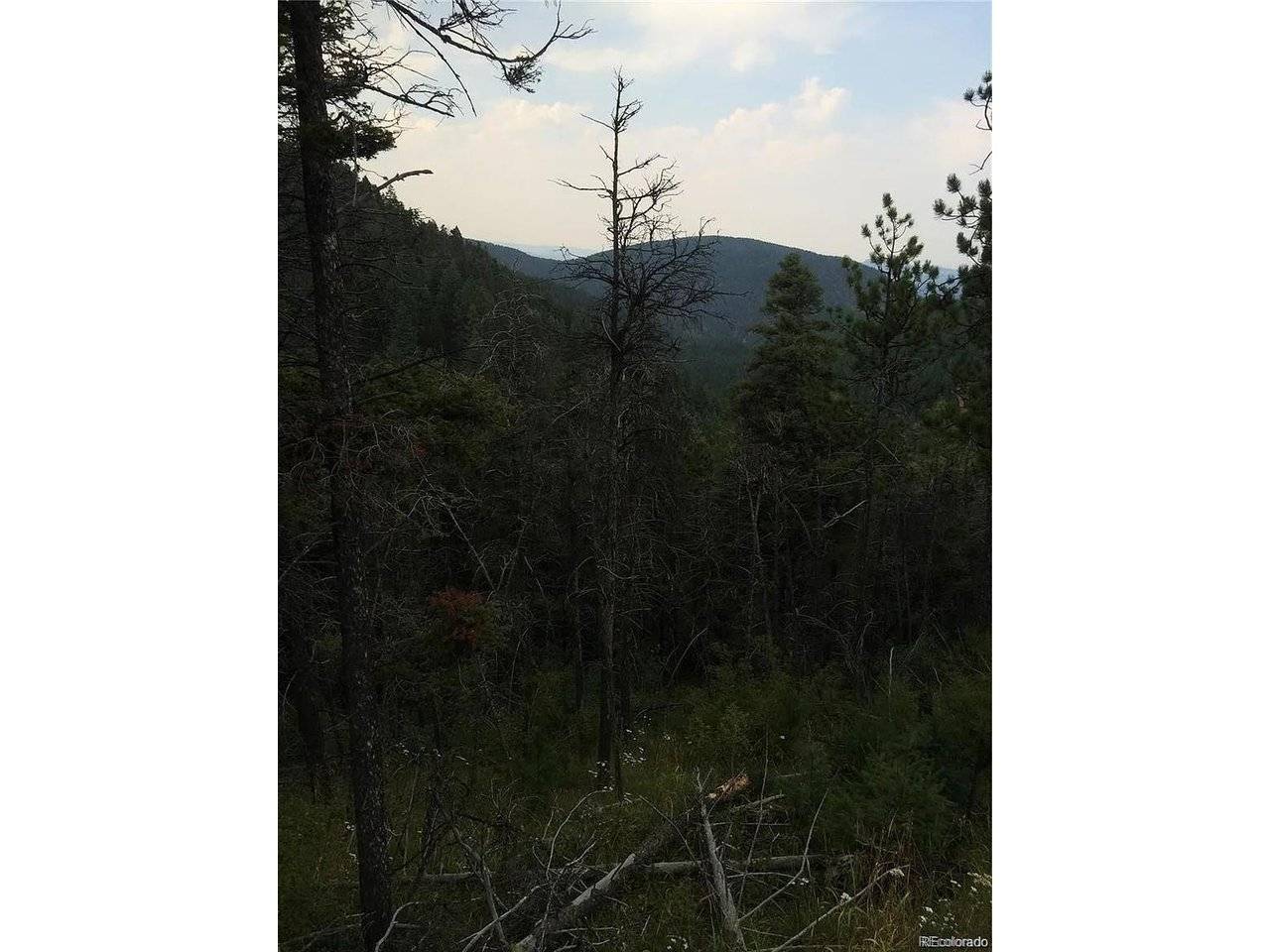 13499 S Firedog, Larkspur, CO 80118