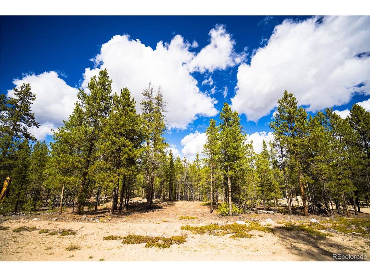 247 Juniper, Twin Lakes, CO 80461