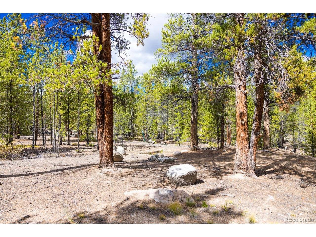 247 Juniper, Twin Lakes, CO 80461