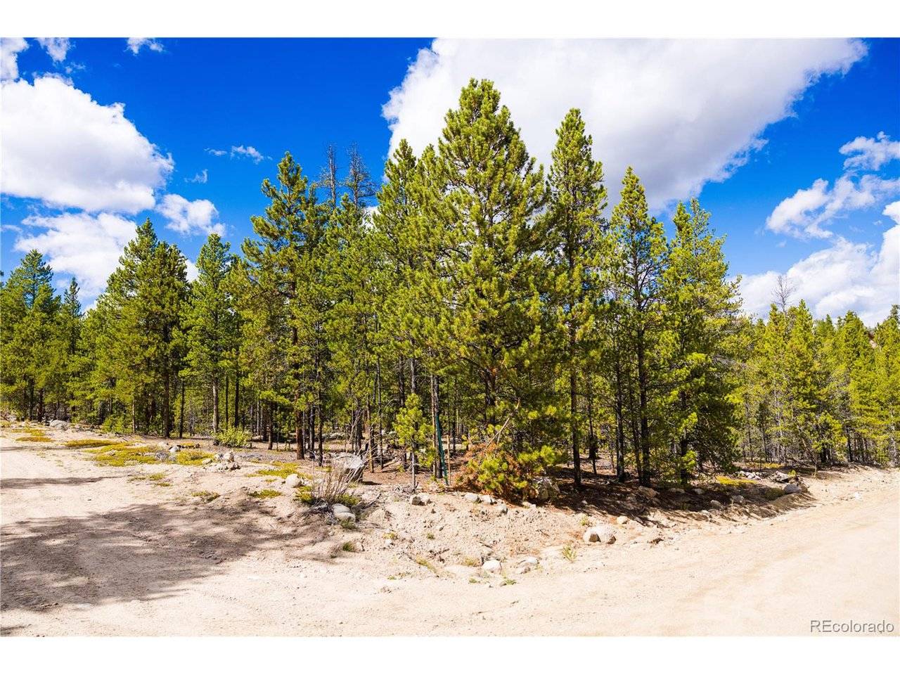 247 Juniper, Twin Lakes, CO 80461