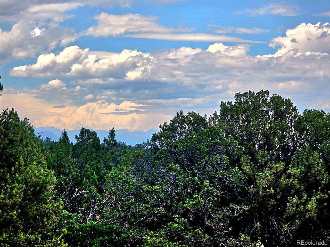 97 River Ridge Ranch, Walsenburg, CO 81089