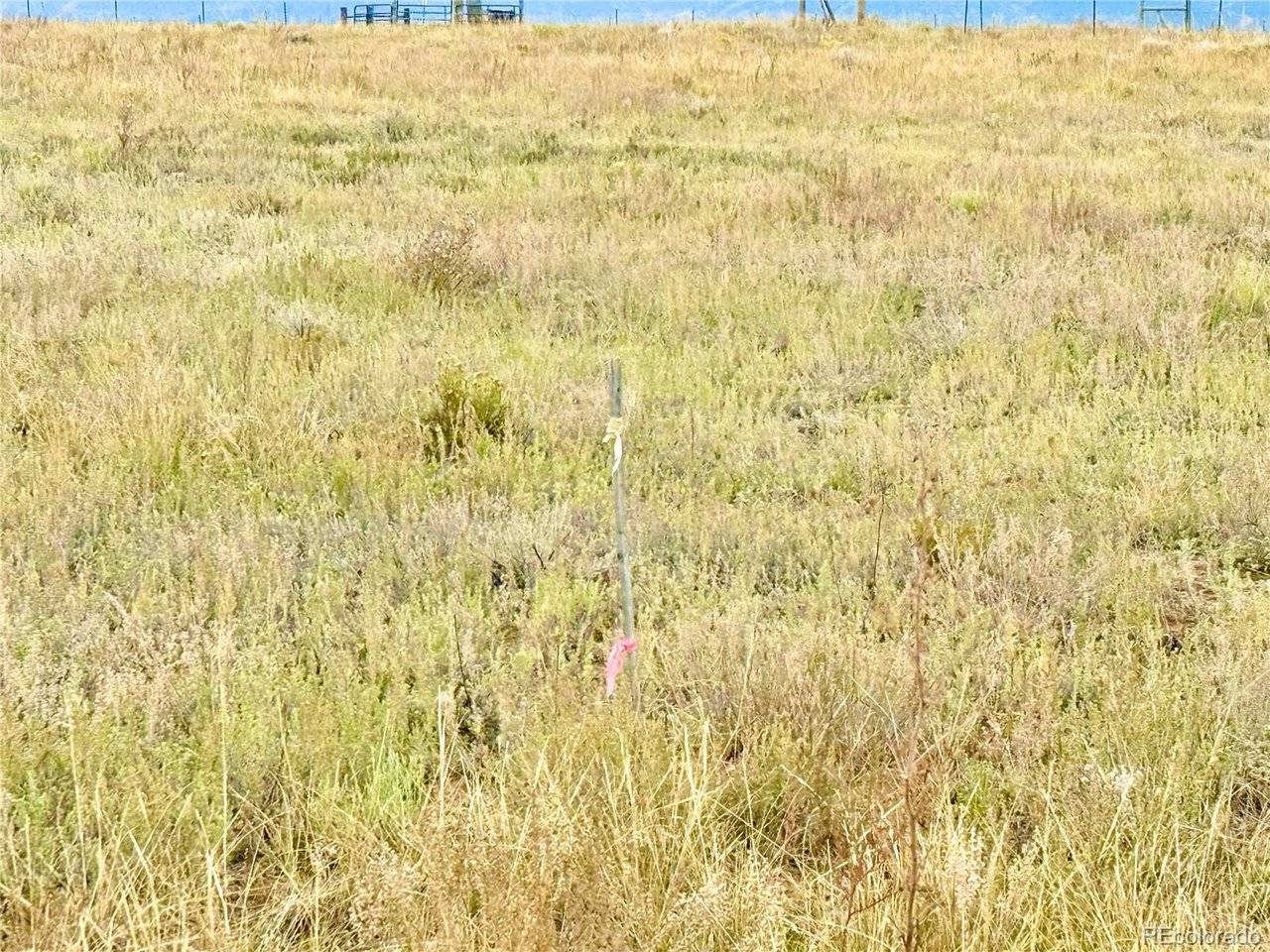 119 Fawn, Westcliffe, CO 81252