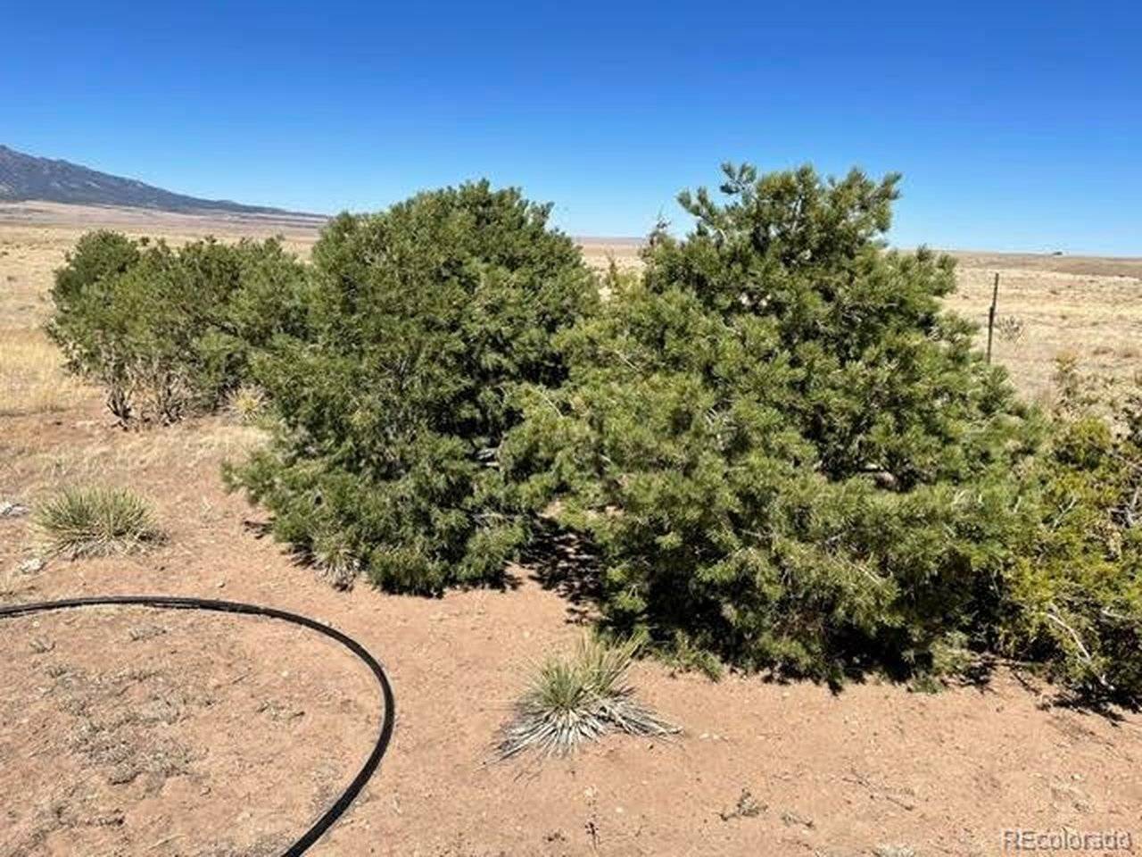 291 Black Hills, Walsenburg, CO 81089