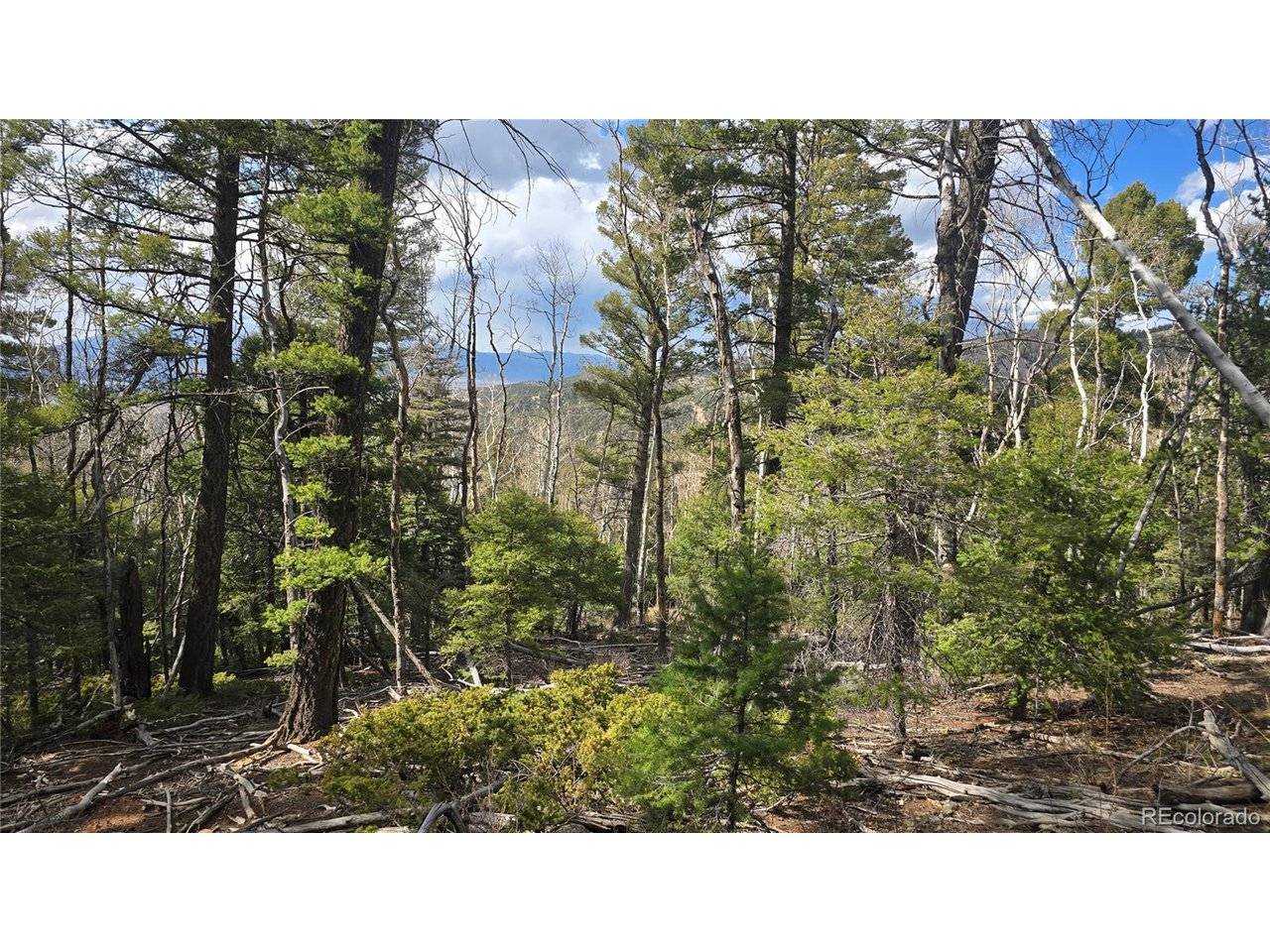 5261 Scott, Fort Garland, CO 81133