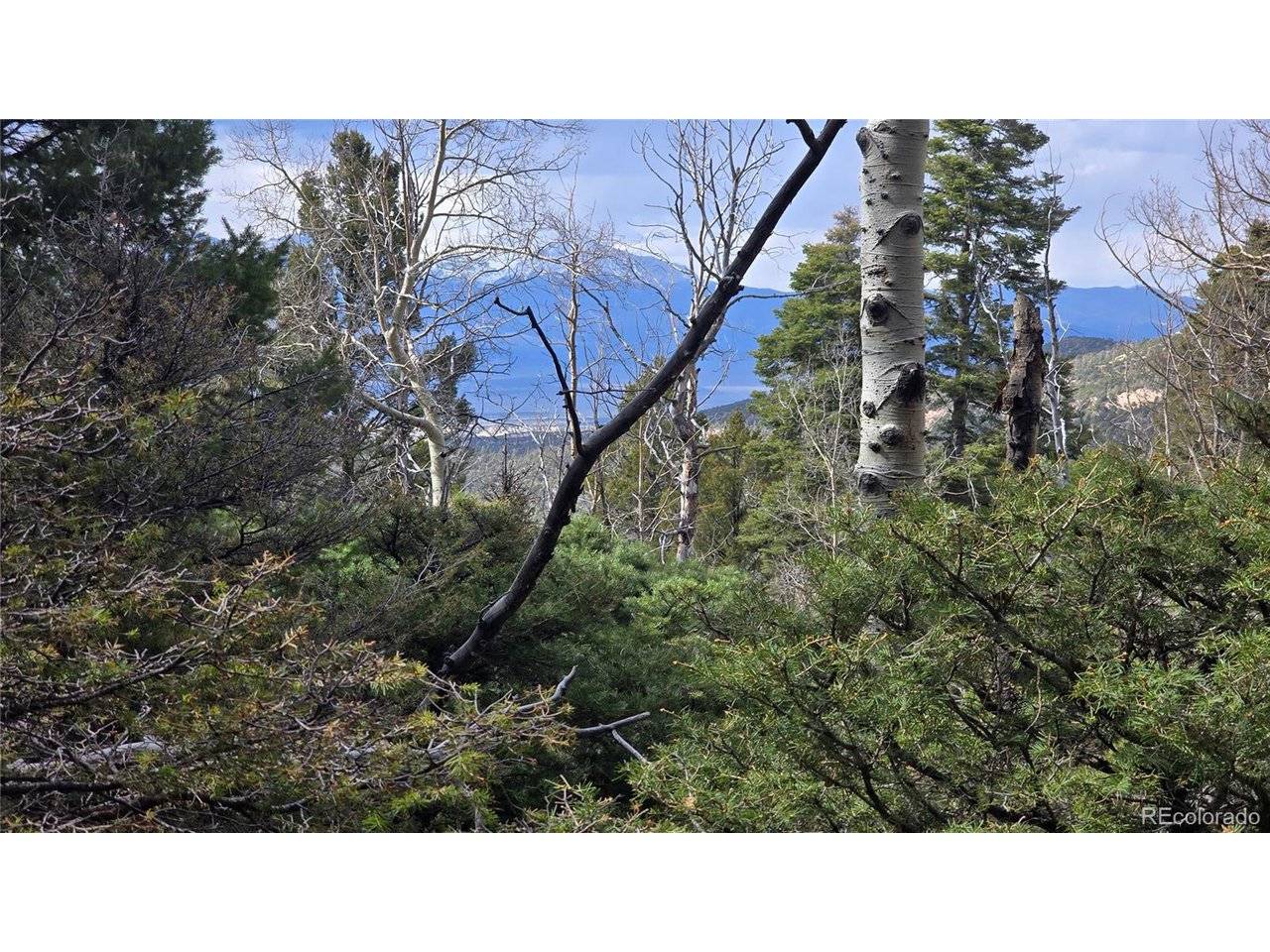 5261 Scott, Fort Garland, CO 81133