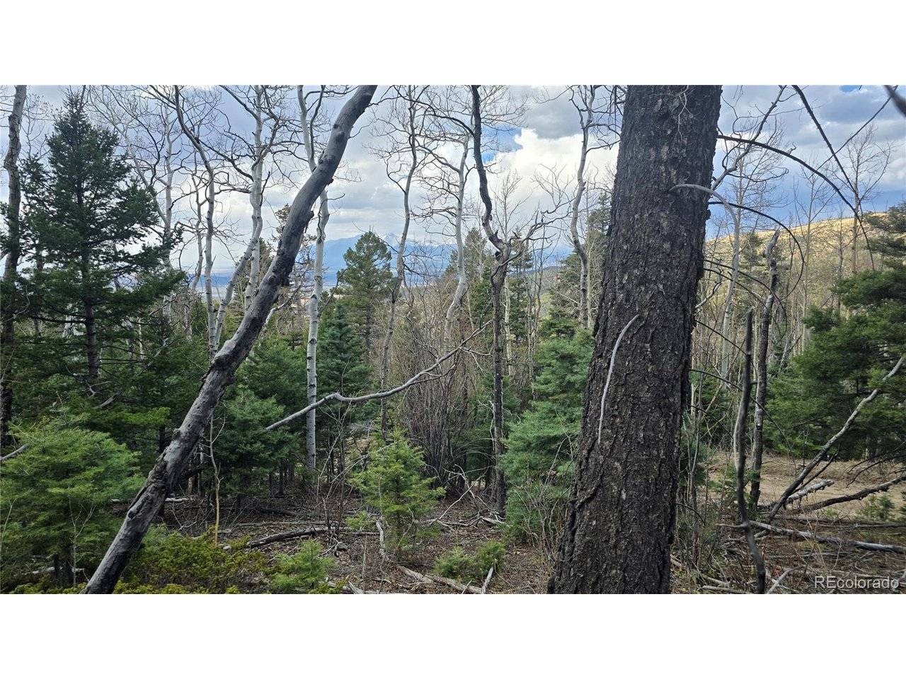 5261 Scott, Fort Garland, CO 81133
