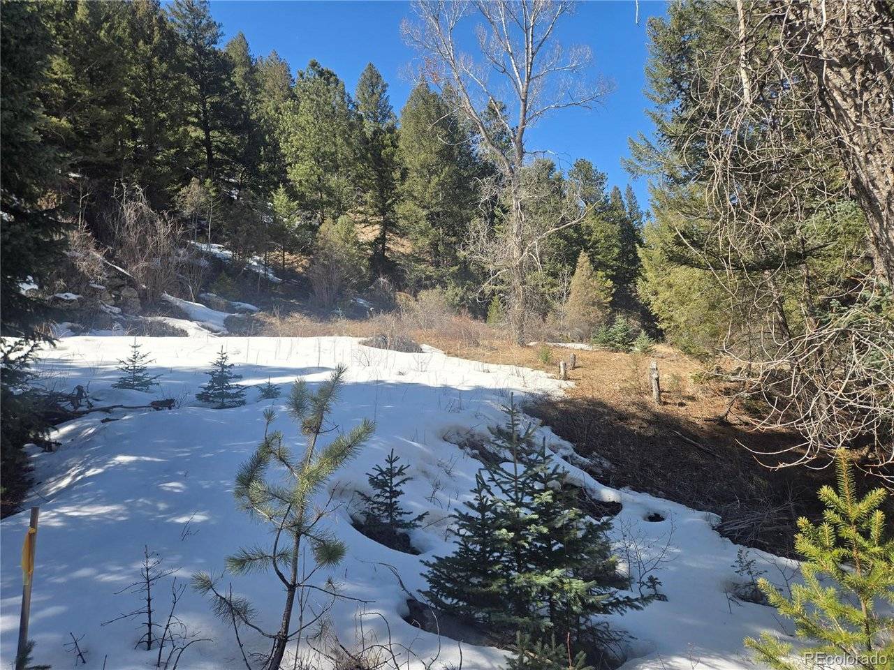 Fall River, Idaho Springs, CO 80452