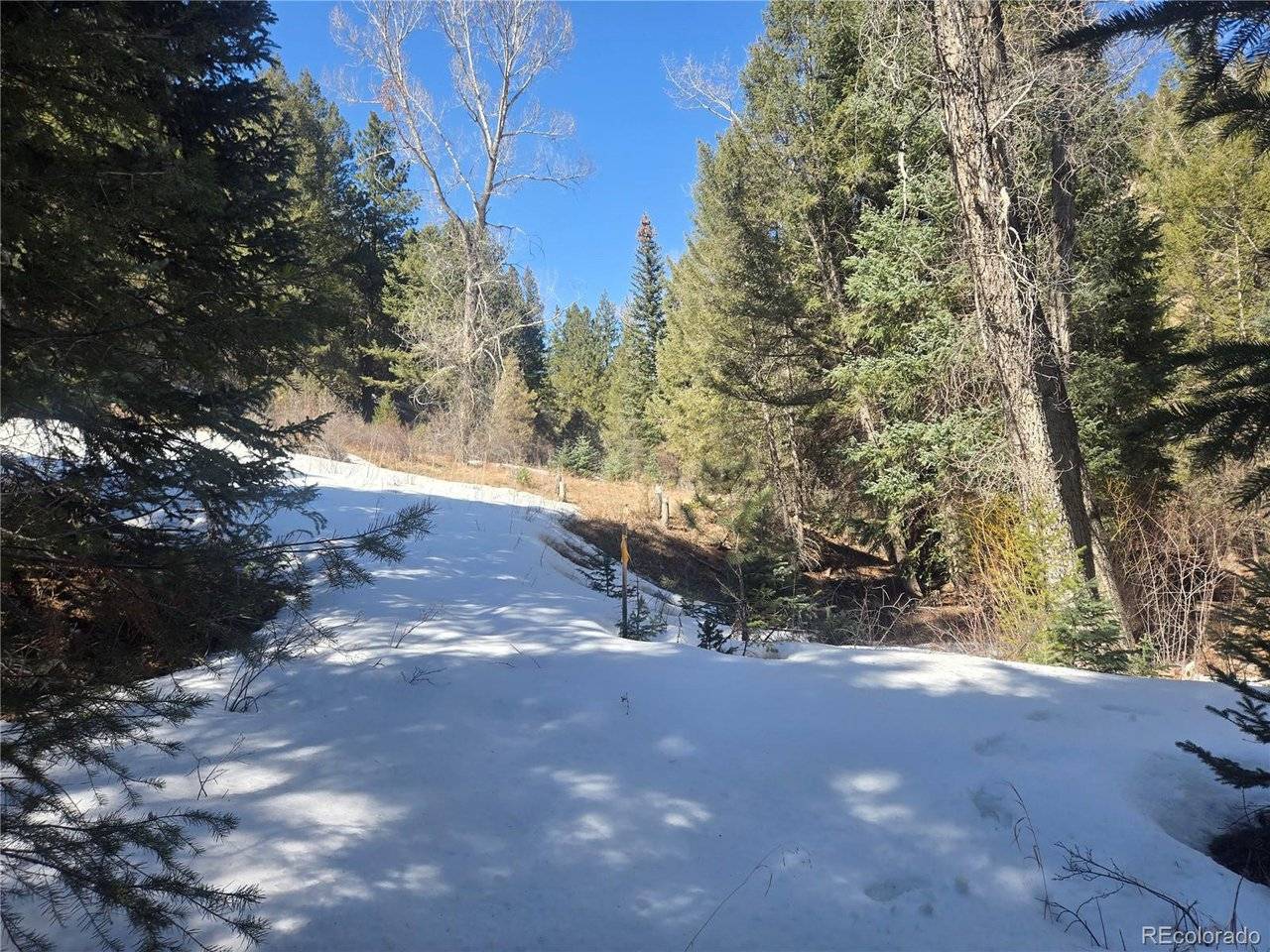 Fall River, Idaho Springs, CO 80452