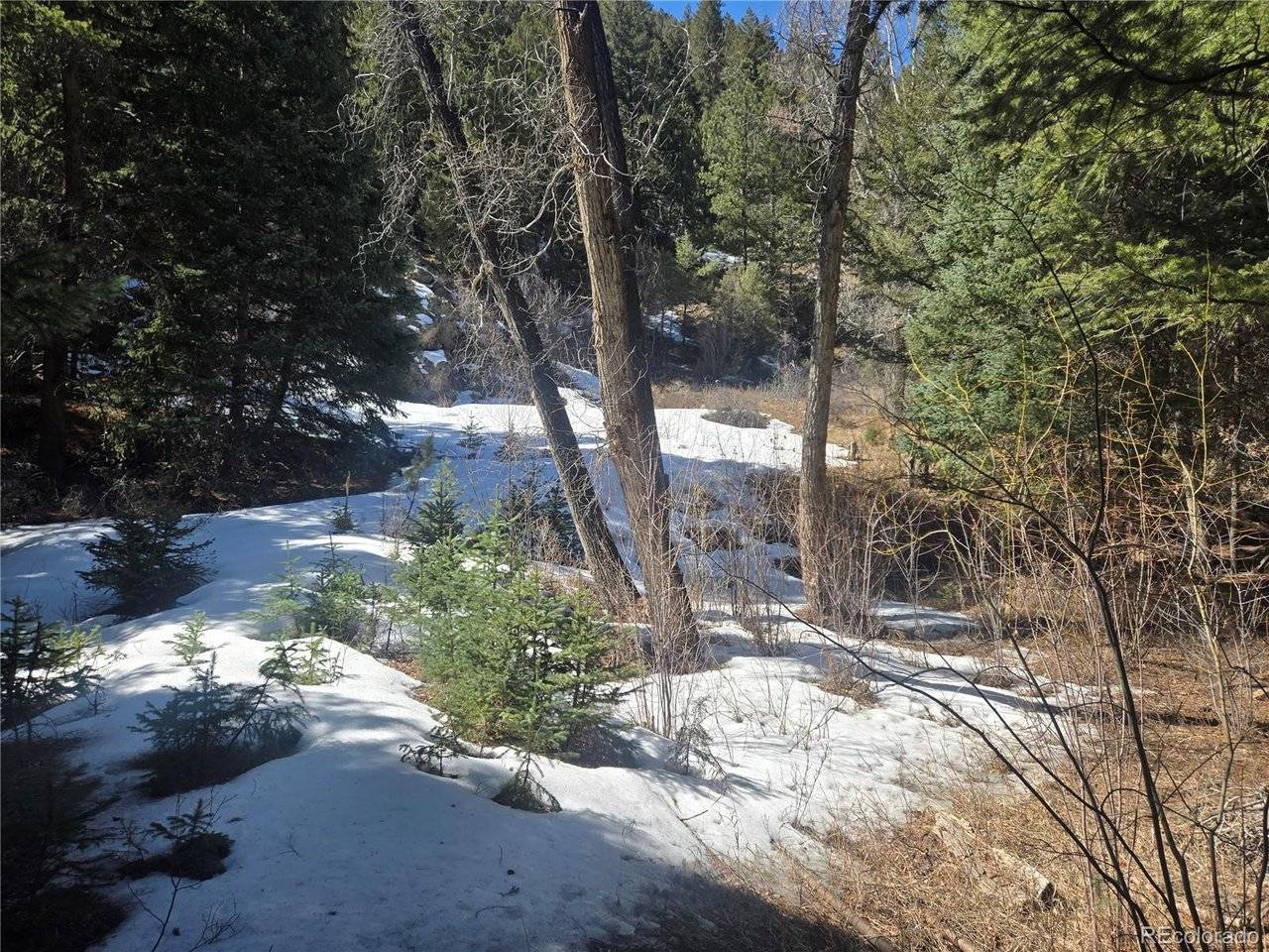 Fall River, Idaho Springs, CO 80452