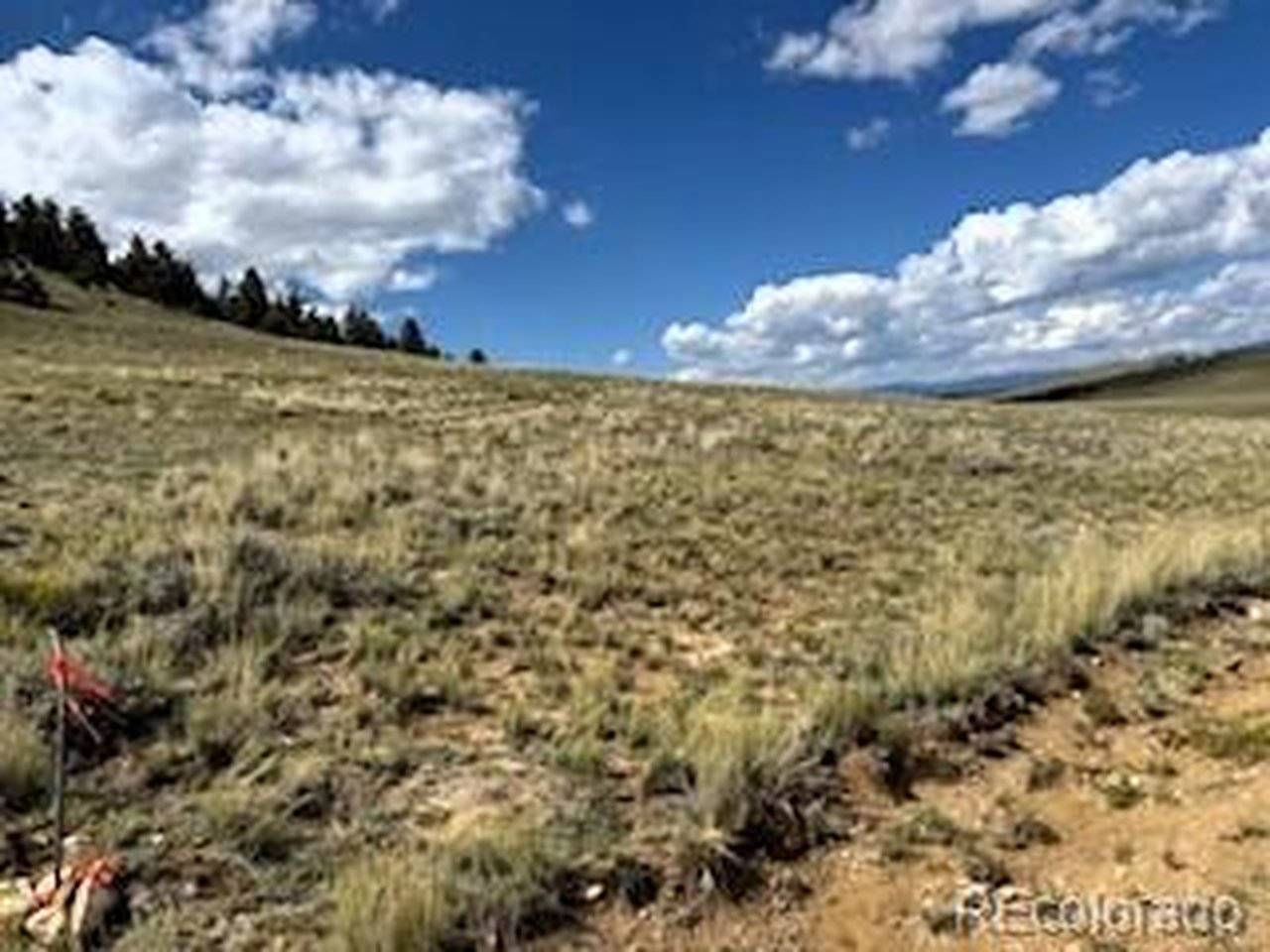 785 Cherokee, Hartsel, CO 80449