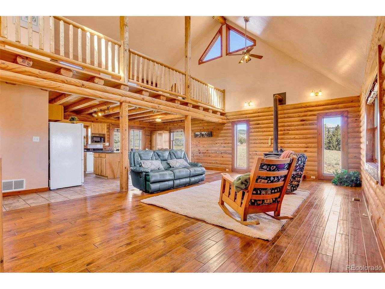 1528 Silverheels, Fairplay, CO 80440