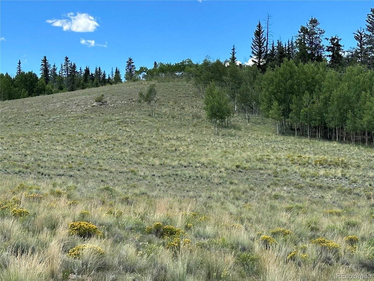 95 Wabeno, Jefferson, CO 80456