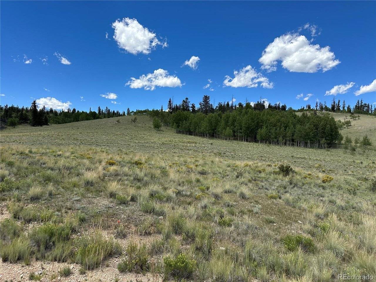 95 Wabeno, Jefferson, CO 80456